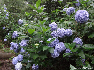 写真2895