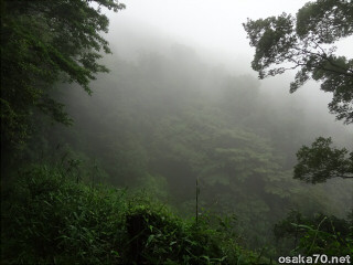 写真2896