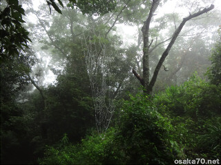 写真2898