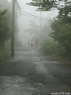 写真2901