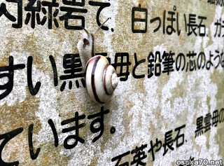 写真3079