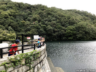 写真3081
