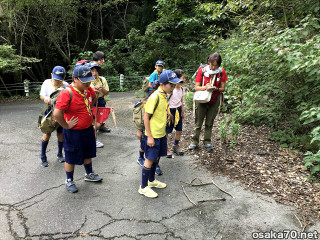 写真3087