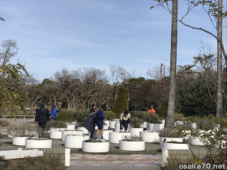 写真3265