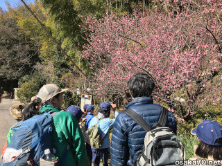 写真3291