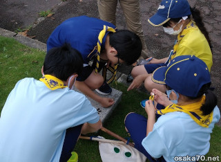 写真3371