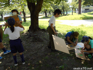 写真3392